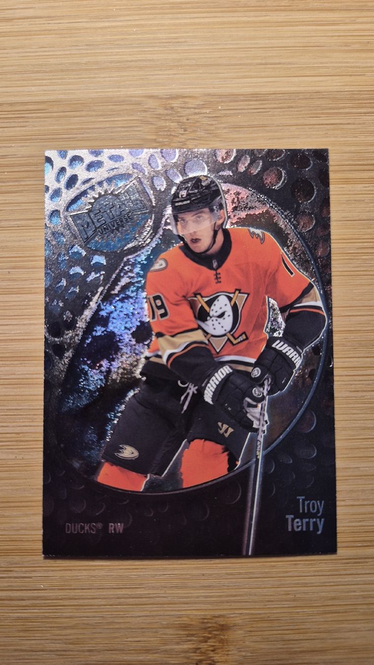 NHL Carte collezionabili: NHL Anaheim Ducks Troy Terry – Usato da Bellach venduto da paedu-1980