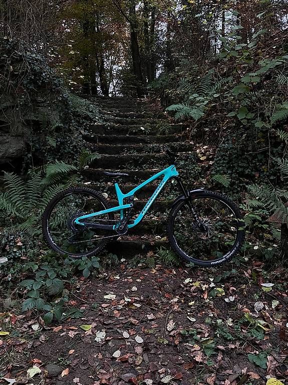 Biciclette: PROPAIN TYEE 29 L – Usato da Carouge GE venduto da goi_vw9w