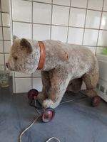 STEIFF,  OURS À ROULETTES, très  ancien