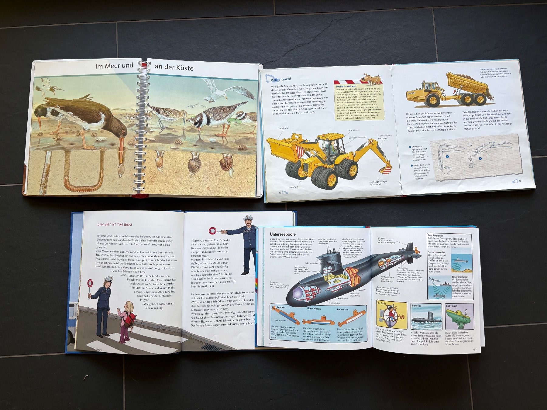 Libri: Sach-Bilderbücher für Kinder – Usato da Wetzikon ZH venduto da Youna01 2