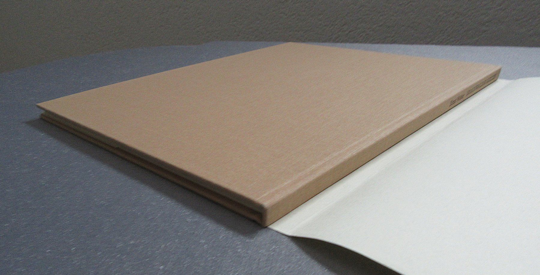 Libri: Braunwalder-Skizzen von Ernst Weber – Usato da Auenstein venduto da Padabimbim 7