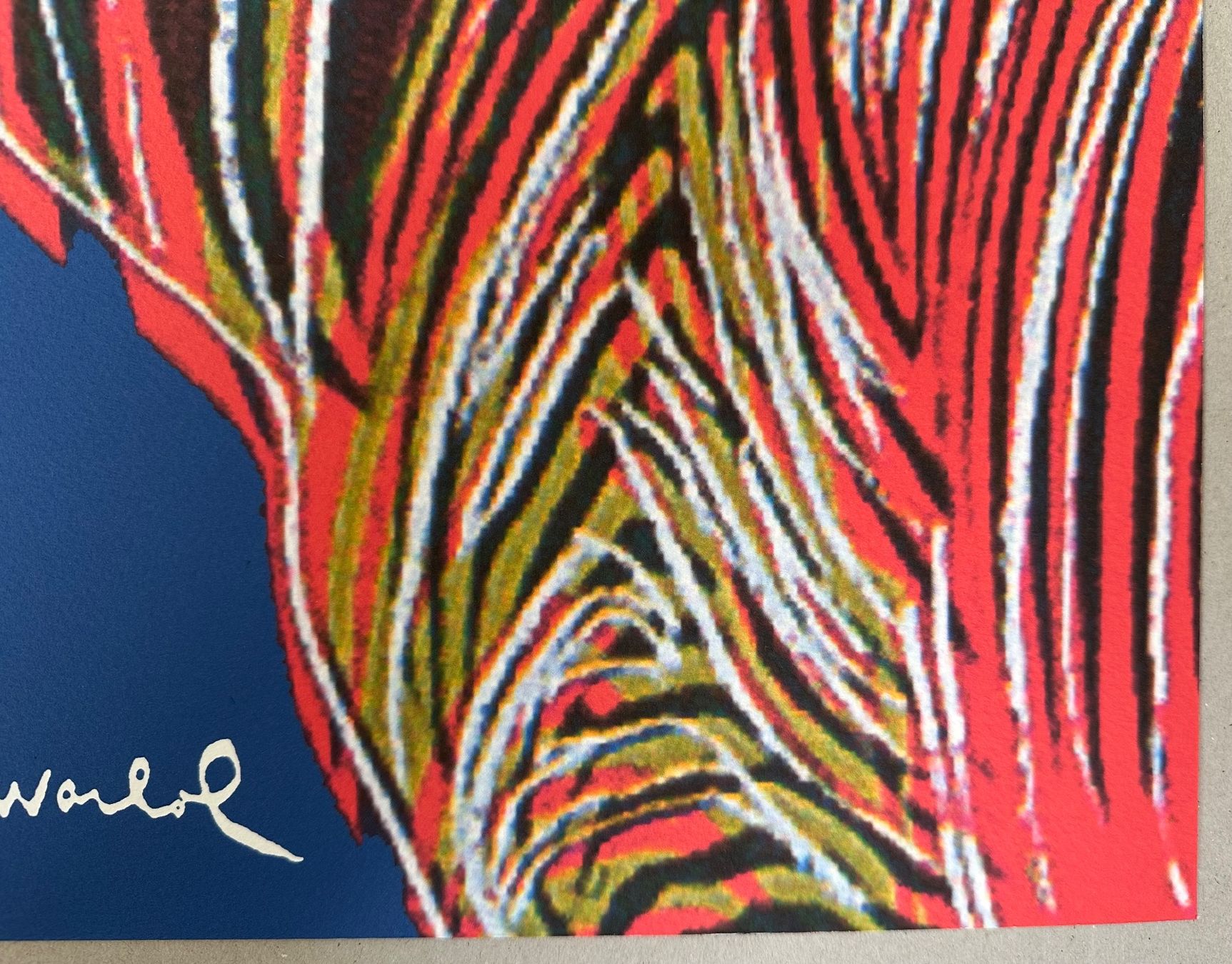 Foto & Immagini: Warhol: POP Art, Zebra 309/2400 – Nuovo (secondo la descrizione) da Meilen venduto da Smgdesign 3