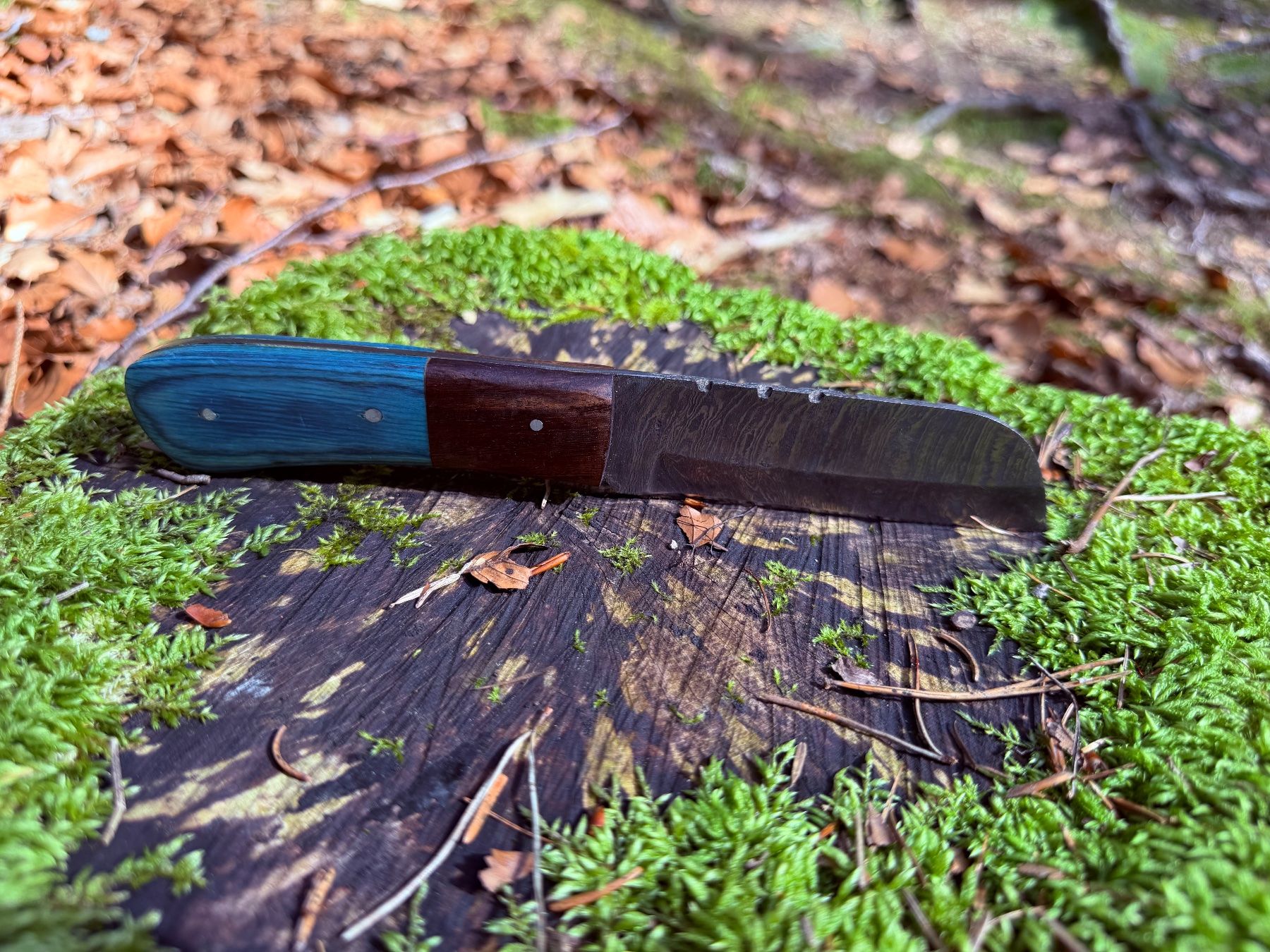 Accessoires: Damast Bushcraft Messer Sheepfoot Blade – Neuf avec emballage d'origine à Luzern par asciva 5
