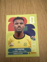 Carte panini 2026