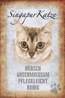 Blechschild-STECKBRIEF-SINGAPUR KATZE