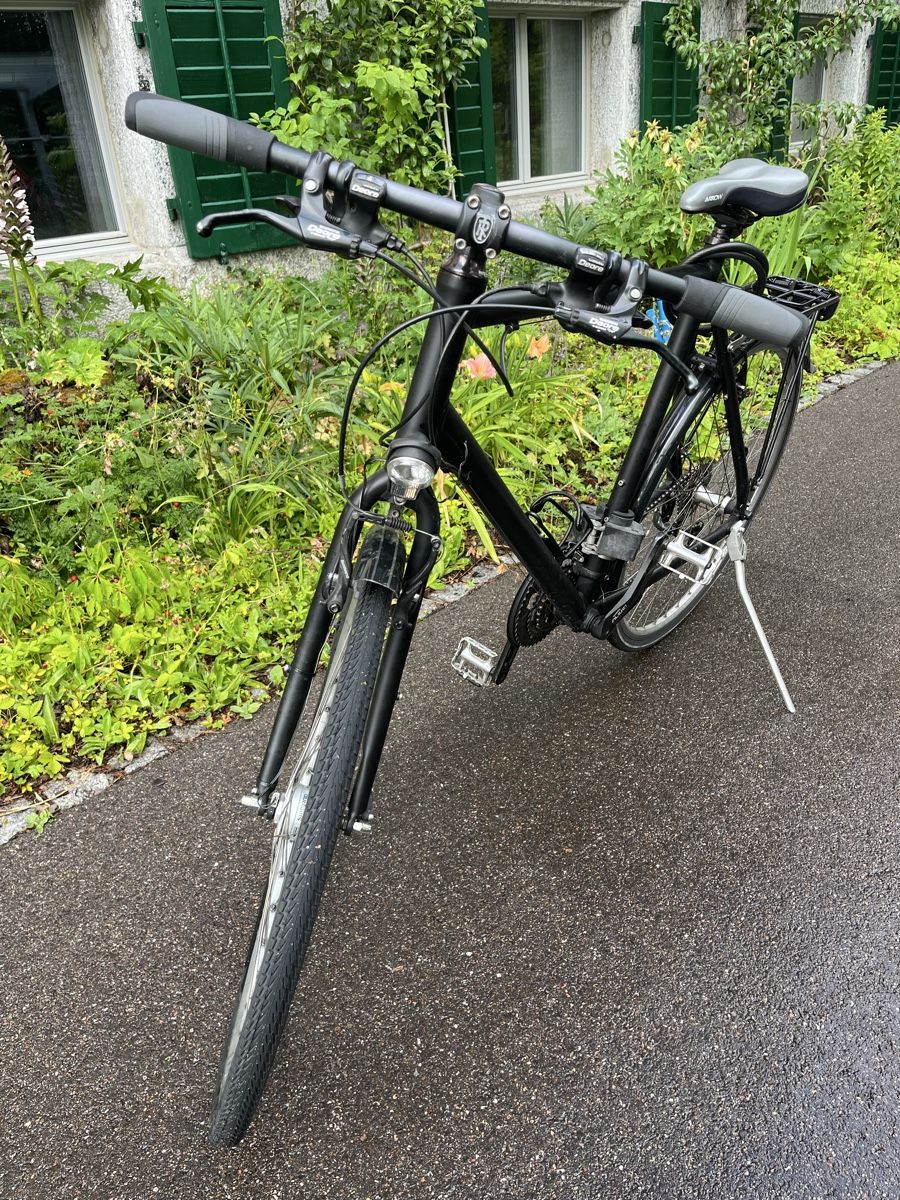Biciclette: Ritchey Citybike – Usato da Uster venduto da remsi_benemsi 1