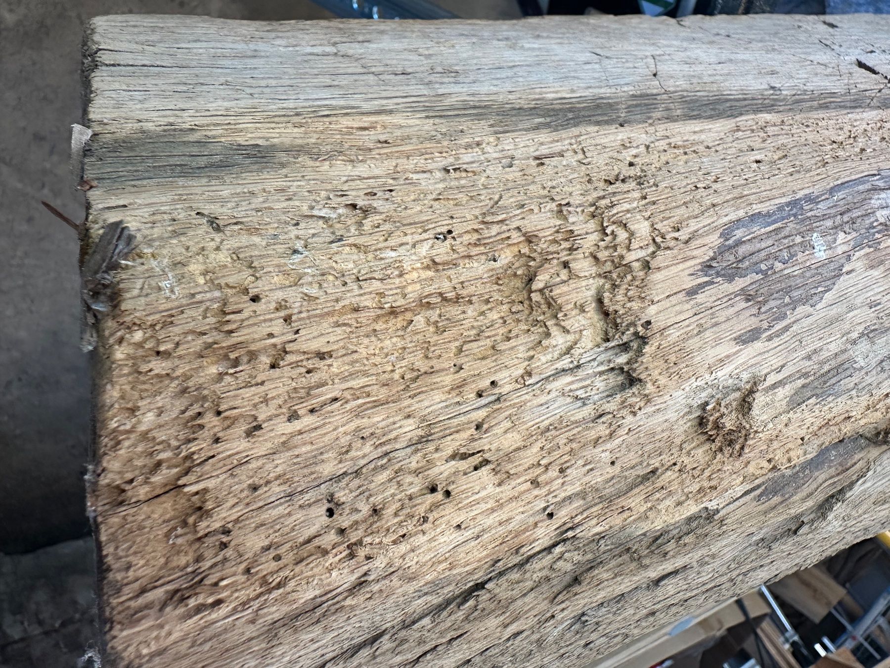 Holzartikel: Alter Eichenbalken mit historischen Zapfenlöchern – Gebraucht aus Breitenbach von kaufmann-j 5