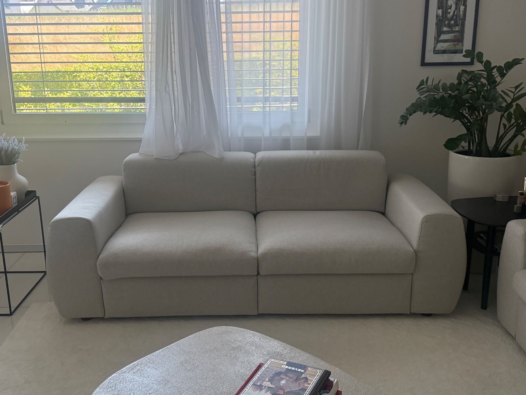 Divani: Zwei Sofas – Usato da Richterswil venduto da sho_6cfh 1