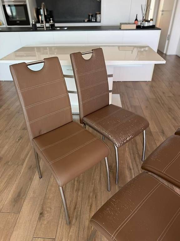 Sedie: 5 sedie conforama – Usato da Massagno venduto da yih_7n8s 2