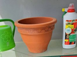Pflanzentopf, konisch, verziert