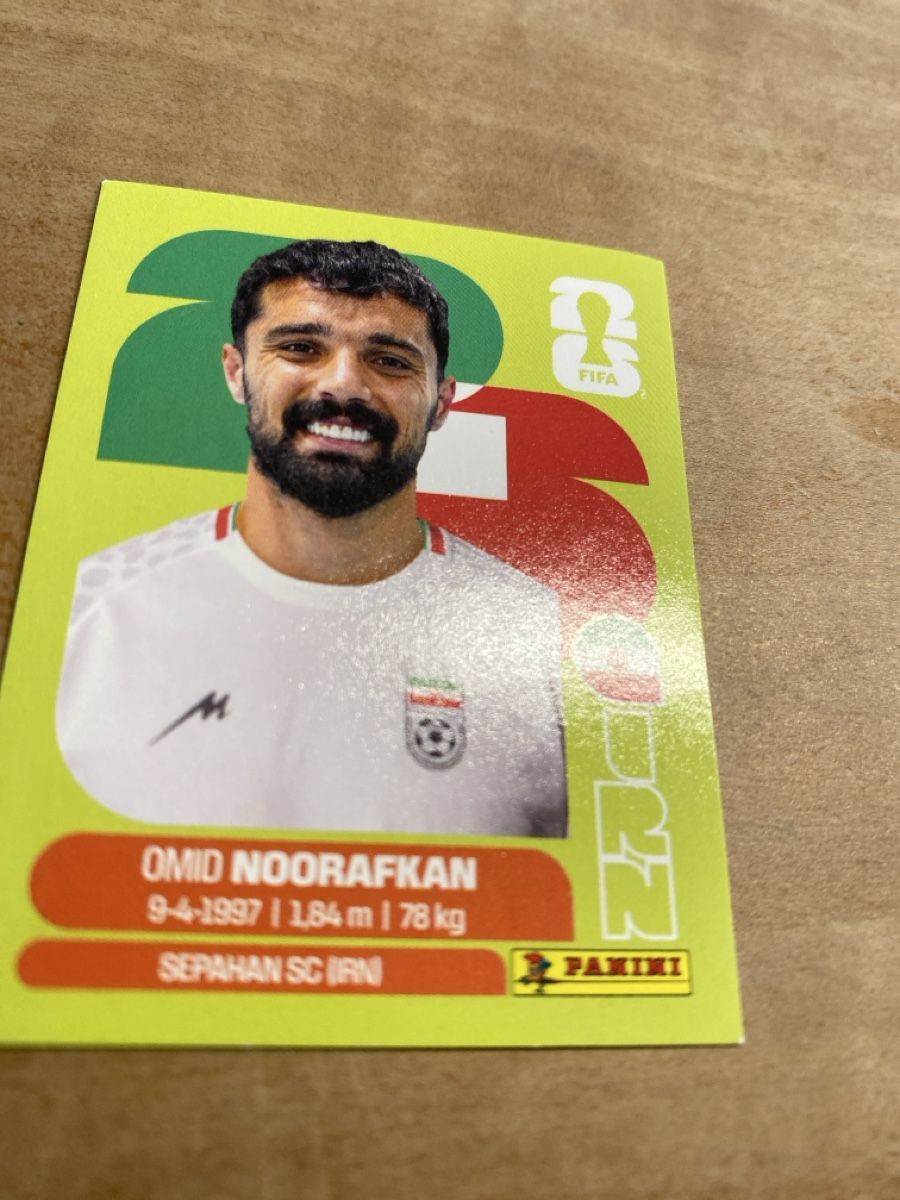 Panini Carte collezionabili: Panini IRN 14 – Usato da schafisheim venduto da soni13
