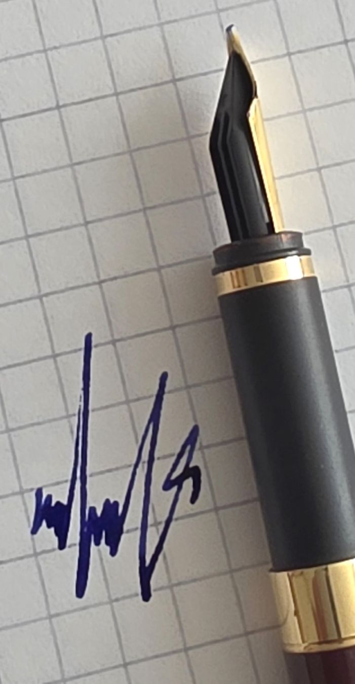 Montblanc Penna & Evidenziatori: Füllfederhalter Montblanc – Usato da Bern venduto da Kocholo 4