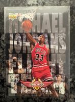 NBA Scottie Pippen Michael Jordan Flight Team Card