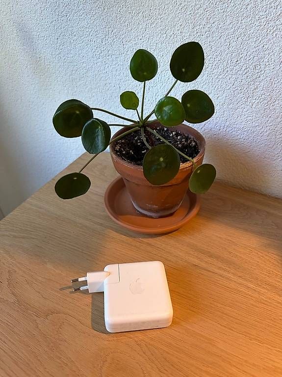 Chargeur: Original Apple 61W USB-C Netzteil – D'occasion à Winterthur par sto_n6lj 1