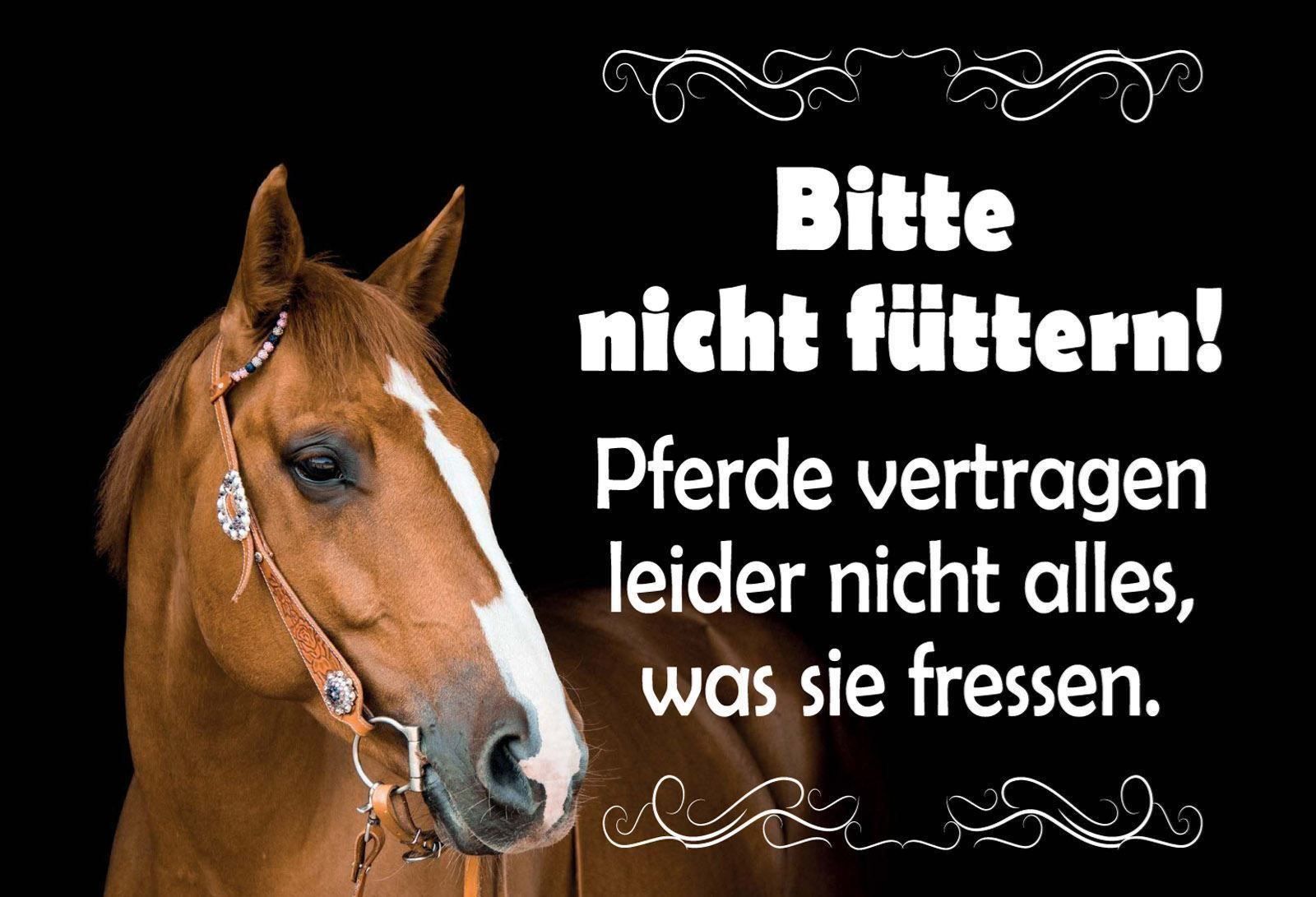 Schilder: Blechschild-PFERDE-BITTE NICHT FÜTTERN- – Neu und originalverpackt aus Rupperswil von big-one-sale