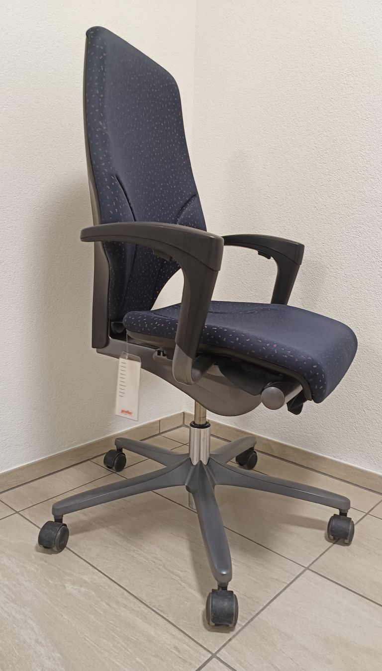 Giroflex Sedie: Bürostuhl Giroflex 64 – Usato da Schmitten FR venduto da oftringen 1