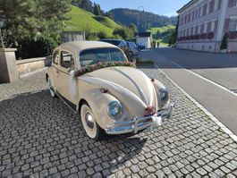 VW Käfer 1961 Beige