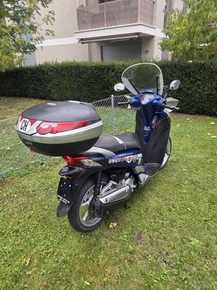 Honda Scooter: HONDA SH 300 CC – Usato da Winterthur venduto da Fabio_46 1