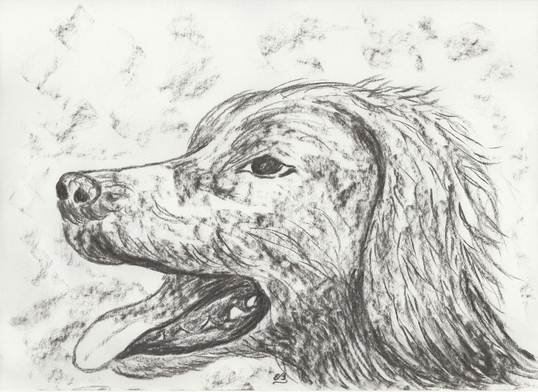 Dipinti: Zeichnung: Irischer Setter II – Usato da Fribourg venduto da erw_68dx