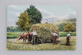 AK Bauernfamilie mit Heuwagen 1913