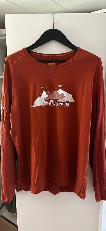Pulls & Sweat-shirts: Icebreaker 200 Merinowolle Longsleeve  – D'occasion à Zermatt par ber_sdz7