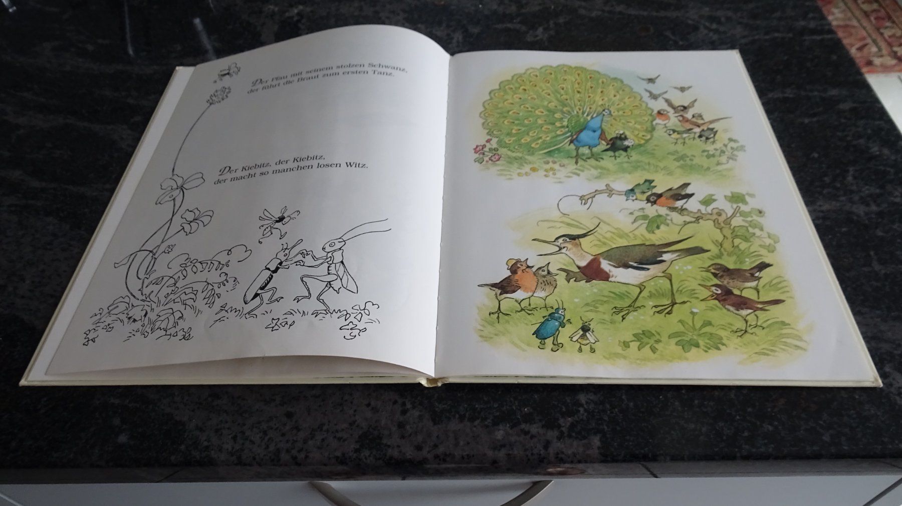 Bücher: Die Vogelhochzeit Eine Geschichte mit Bildern von F.Baumgart – Gebraucht aus Zürich von Roulet 8