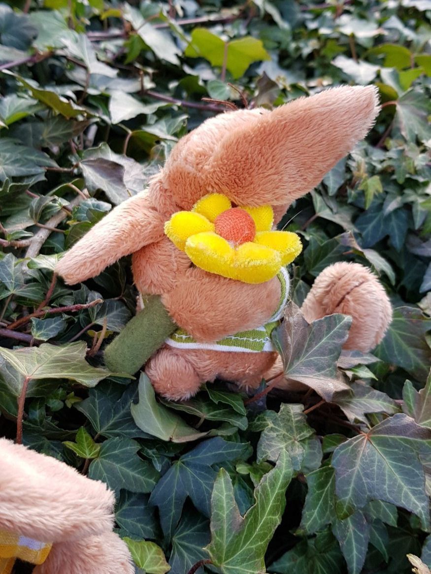 Tutte le decorazioni: FRÜHLINGS - DEKO - 3 Plüschhasen – Usato da Nottwil venduto da echtMOMO 6