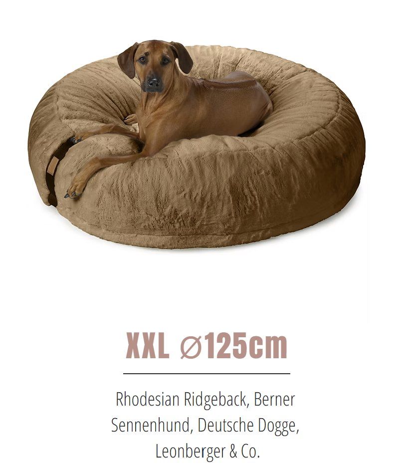 orthopdisches Hundebett (Gebraucht) in Arosa fr CHF 215  mit Lieferung  auf Ricardo kaufen