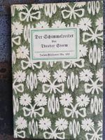 Der Schimmelreiter von Theodor Storm