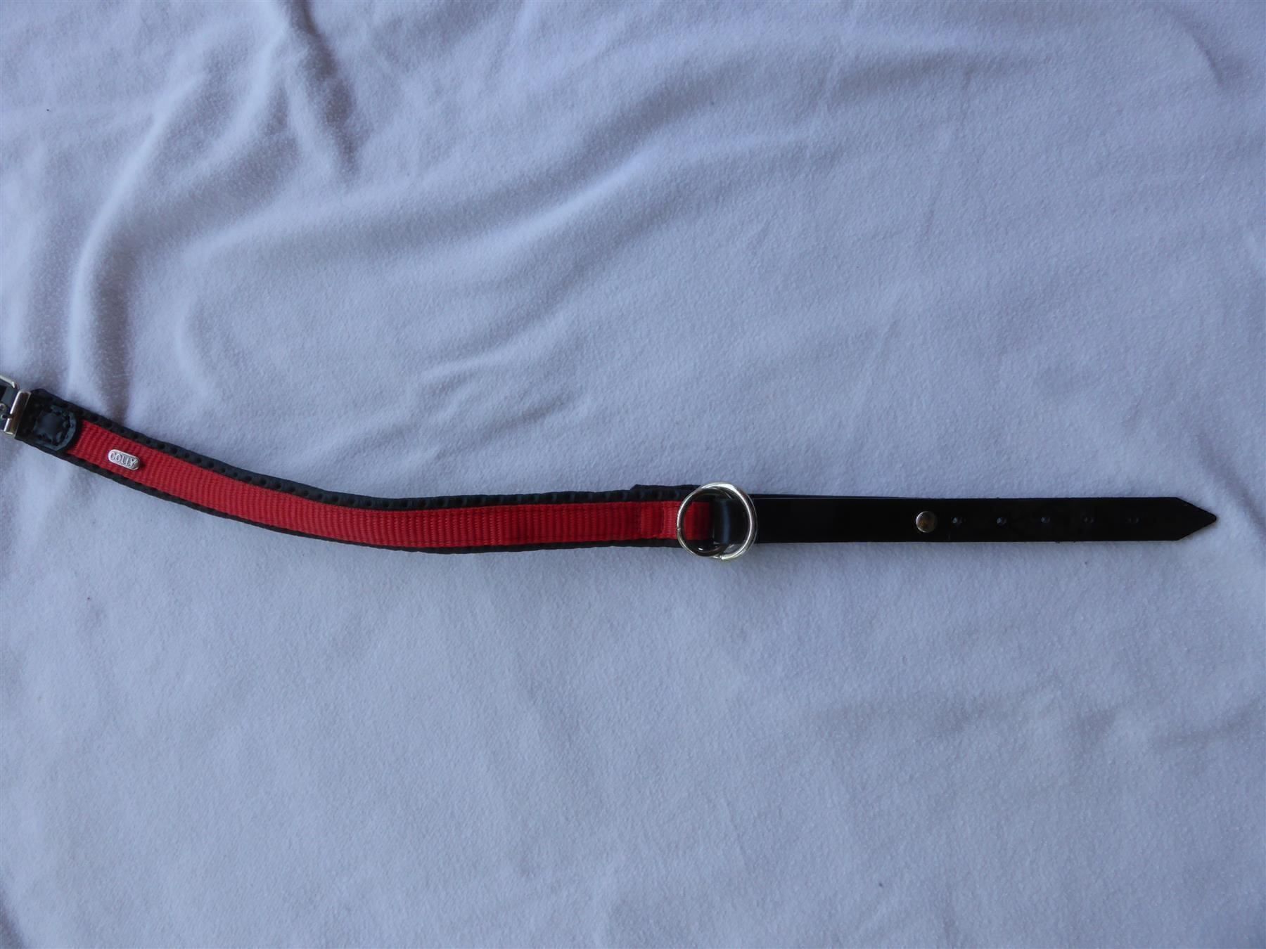 Guinzagli & Collari: Halsband rot-schwarz 45cm – Nuovo e nell'imballaggio originale da Schübelbach venduto da Bemafaja