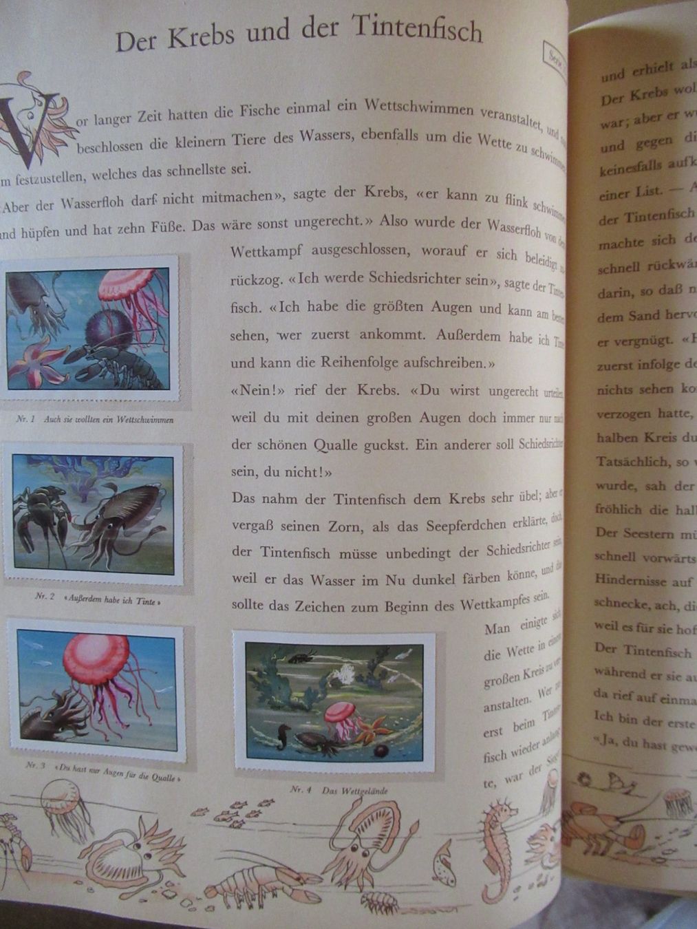 Libri: 24 NEUE TIERMÄRCHEN - NOSTALGIE PUR! – Usato da Moosseedorf venduto da haro01 5