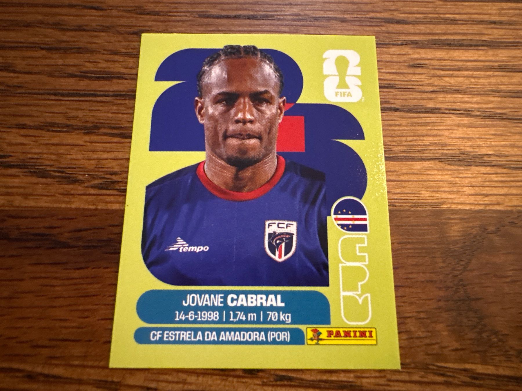 Panini Carte collezionabili: Panini 2026 CPV 16 – Nuovo (secondo la descrizione) da Elsau venduto da Cerry81