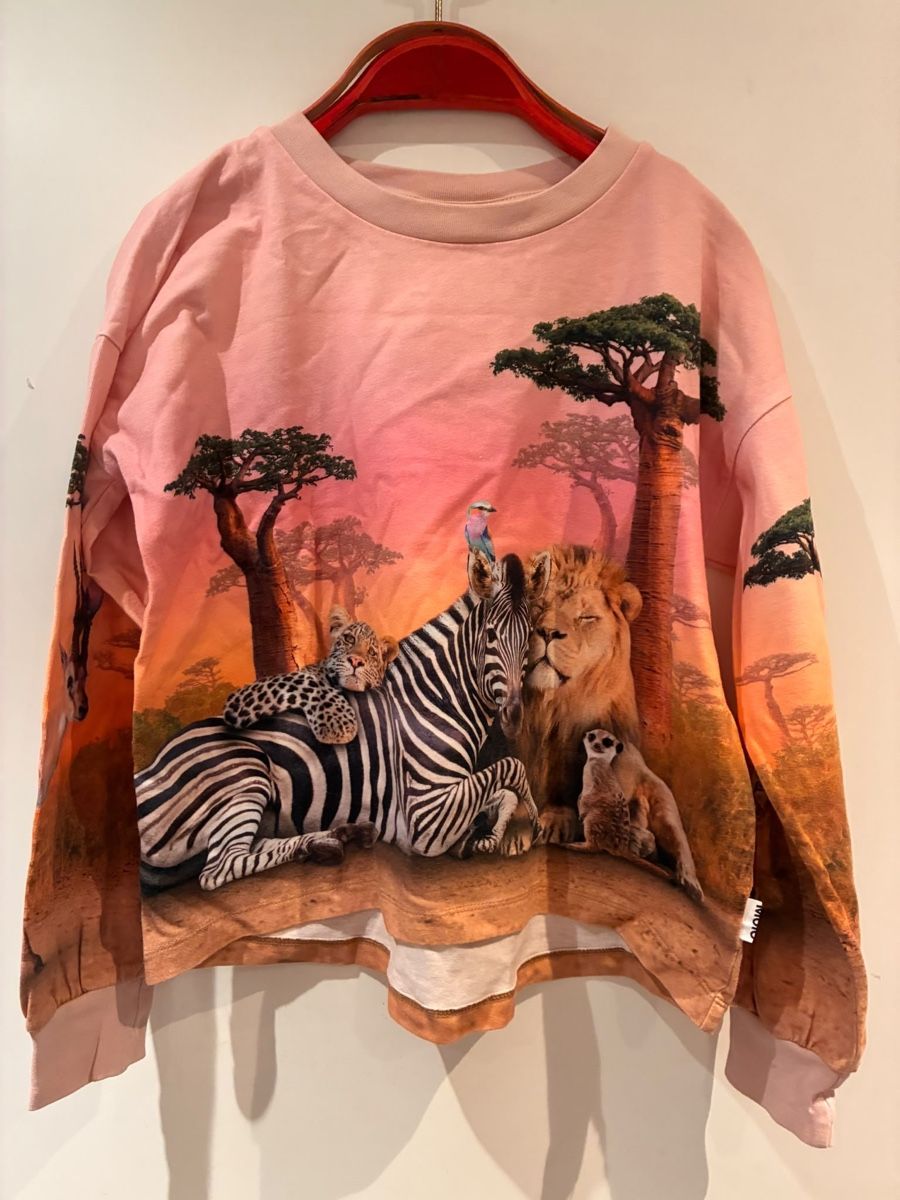 Molo Pullover & Sweatshirts: Toller Pullover Gr. 128, Molo – Gebraucht aus Richterswil von duffi326464