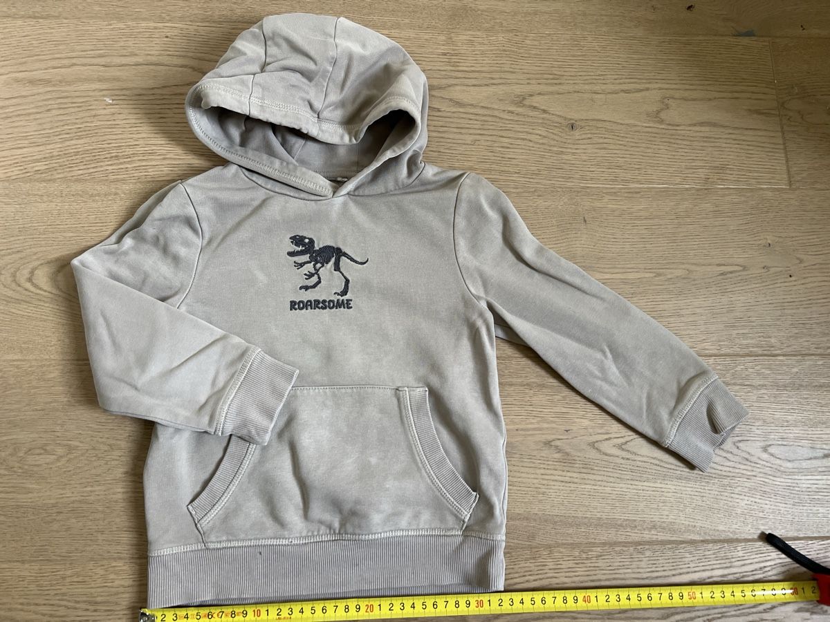 Maglioni & Felpe: C&A Hoodie Dino 🦖 Pulli Pullover Gr 98/110  – Usato da Oensingen venduto da katepe
