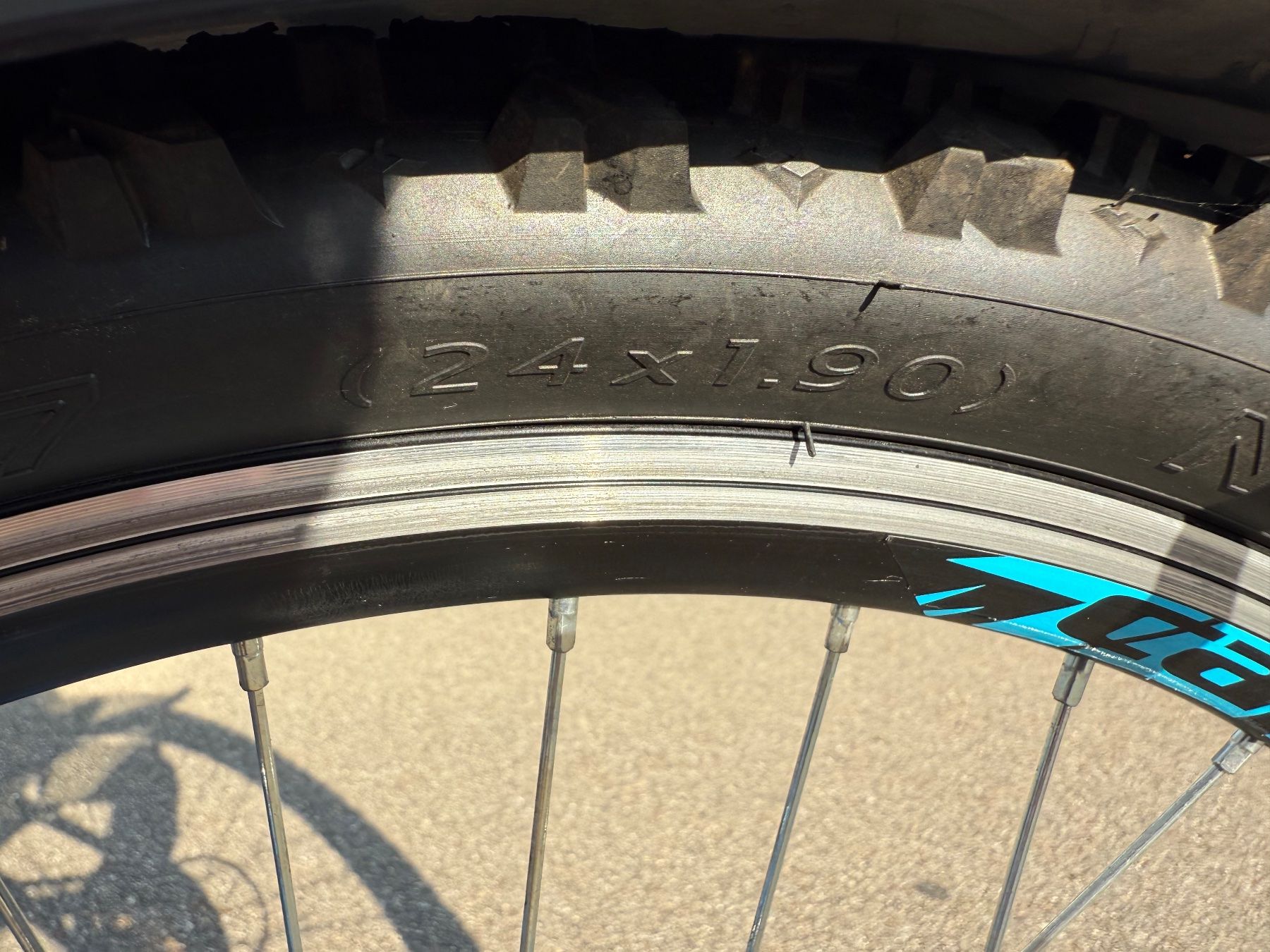 Velos: Capriolo DIAVOLO Velo – Gebraucht aus Zürich von Stutzv 8