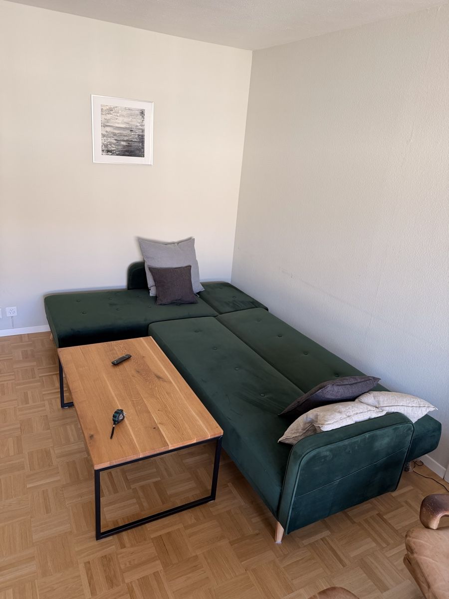 Divani: Grünes Sofa - Veloursofa - Schlafsofa - Sofa Bed – Usato da Zürich venduto da fri_fq26 4