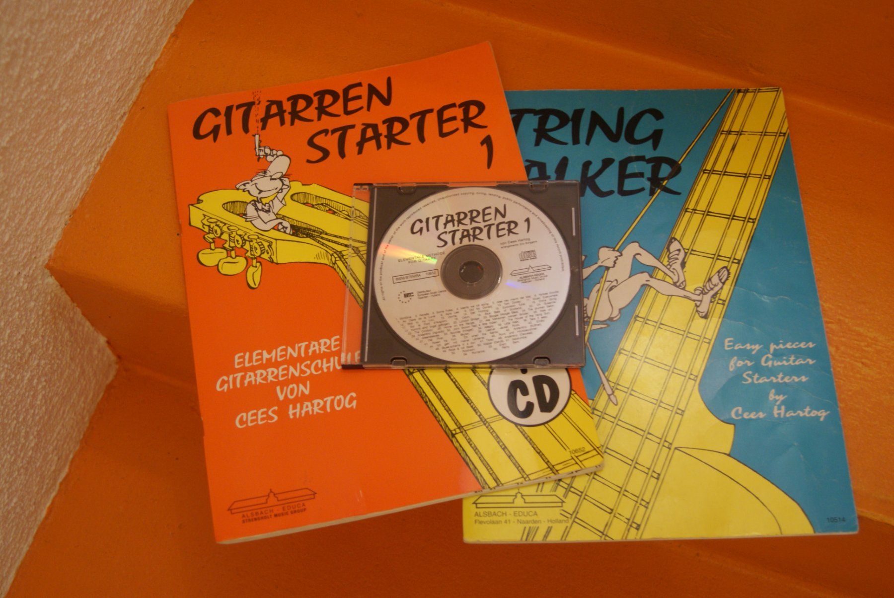 Libri: Gitarrenhefte Starter inkl. 1 CD – Usato da Romanshorn venduto da dany610