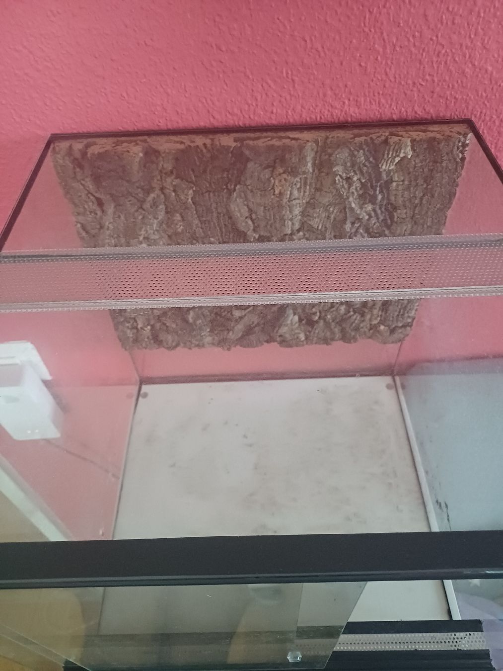Terrario: Vollglas Terrarium  – Usato da Thalwil venduto da Skorp96 3