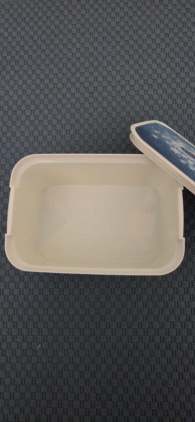Contenitori & Simili: Frozen Aufbewahrungsbox – Usato da Seuzach venduto da NadiaYuki 1