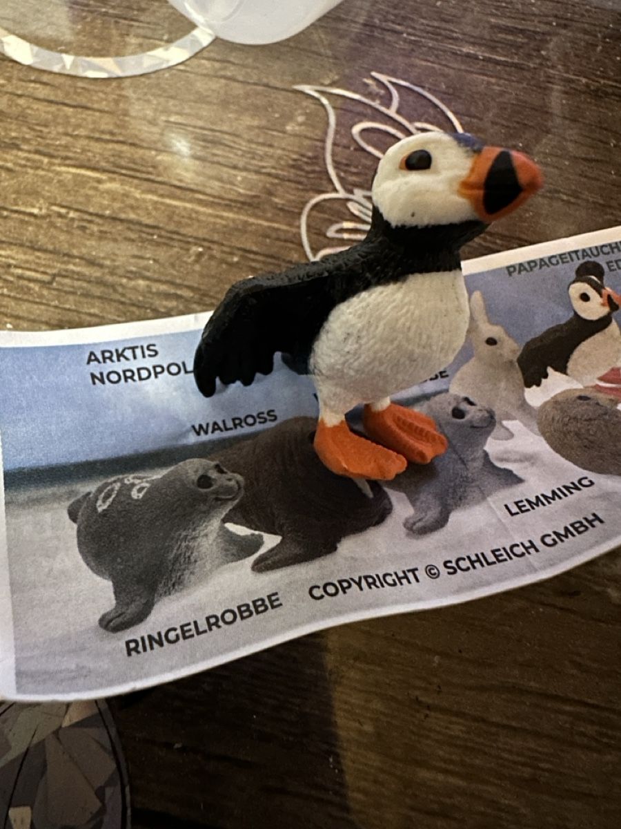 Schleich Statuette: Schleich Figur Papageitaucher Eddy mit Beipackzettel – Nuovo e nell'imballaggio originale da Wangen b. Olten venduto da MOMO80 2