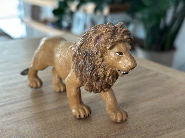 Statuette: Safari Ltd. Löwe Sammelfigur – Usato da Fällanden venduto da SafariSchleichCH