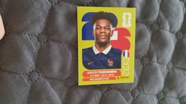 Panini Sticker WM 2026 - FRA 9