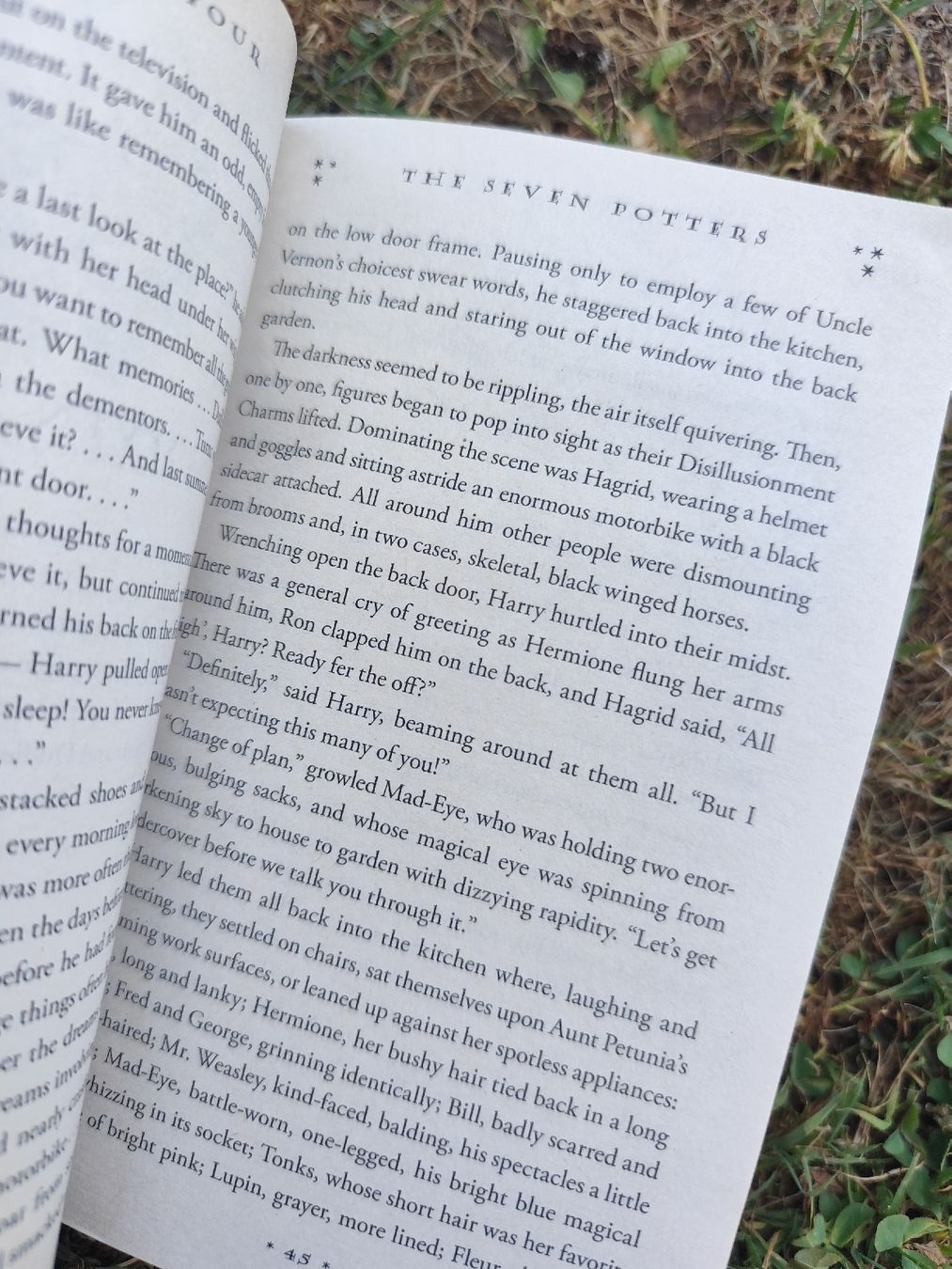 Libri: Harry Potter and the Deathly Hallows Book – Usato da Mägenwil venduto da VintageGirly 5