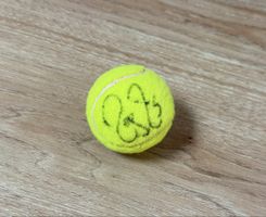 Roger Federer Autogramm Tennisball