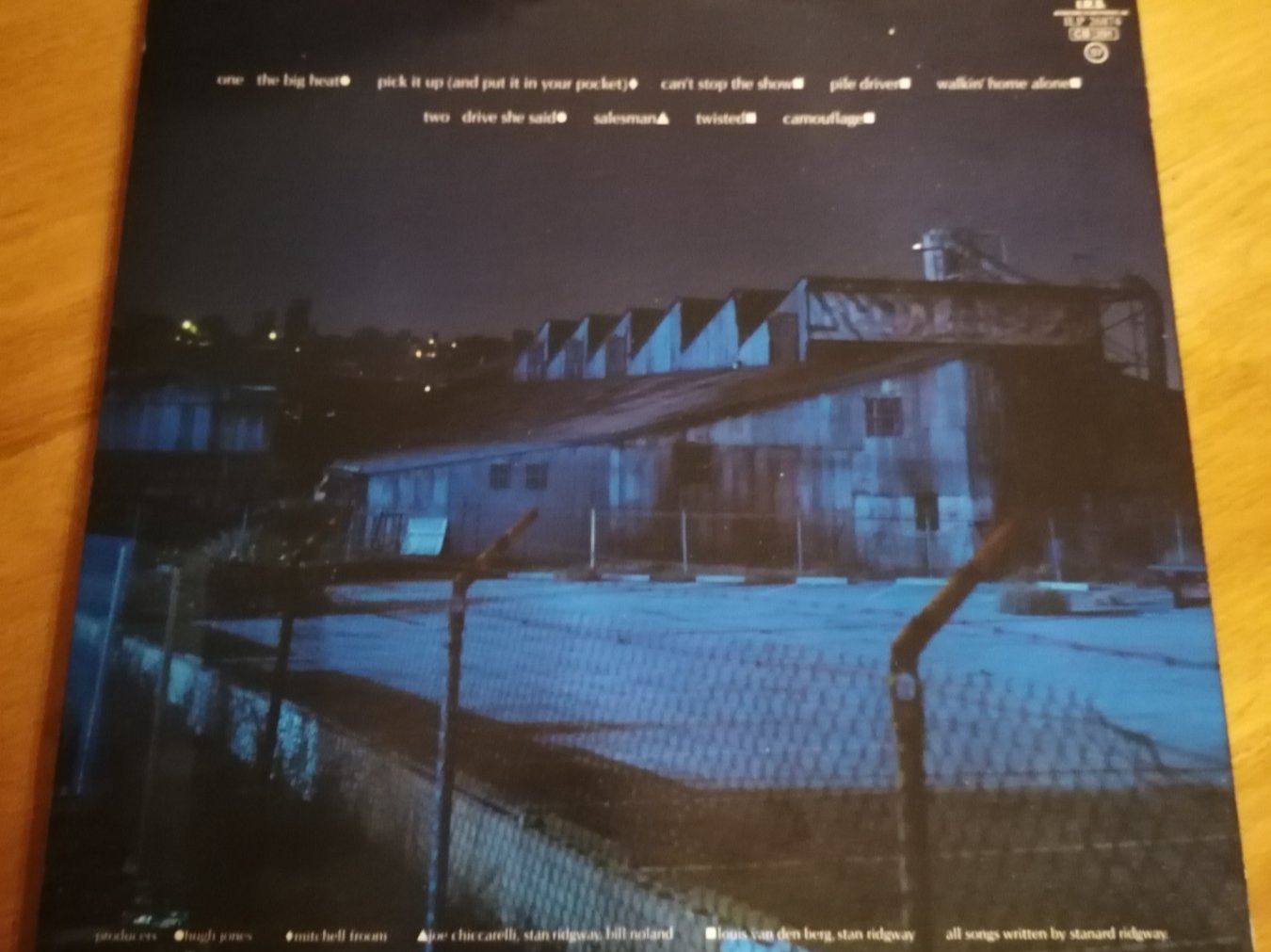 Dischi in vinile: Stan Ridgway LP – Usato da Geroldswil venduto da Dirici 1