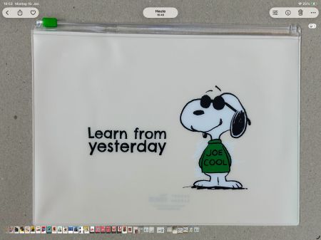 Snoopy Tasche, Beutel verschliessbar