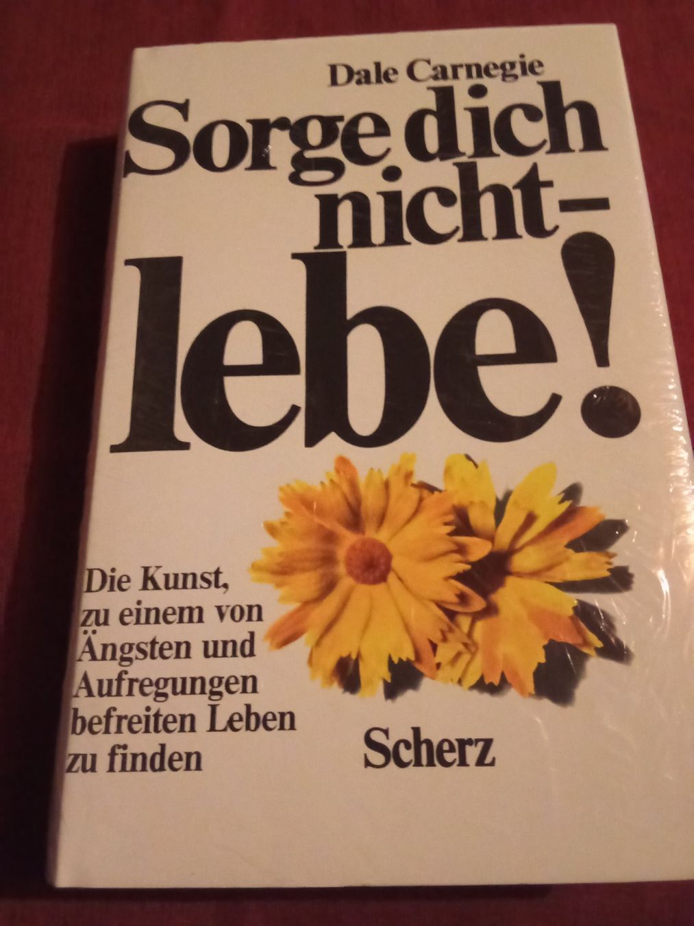 Libri: Dale Carnegie - Sorge dich nicht, lebe! – Nuovo e nell'imballaggio originale da Remetschwil venduto da Privatflohmi