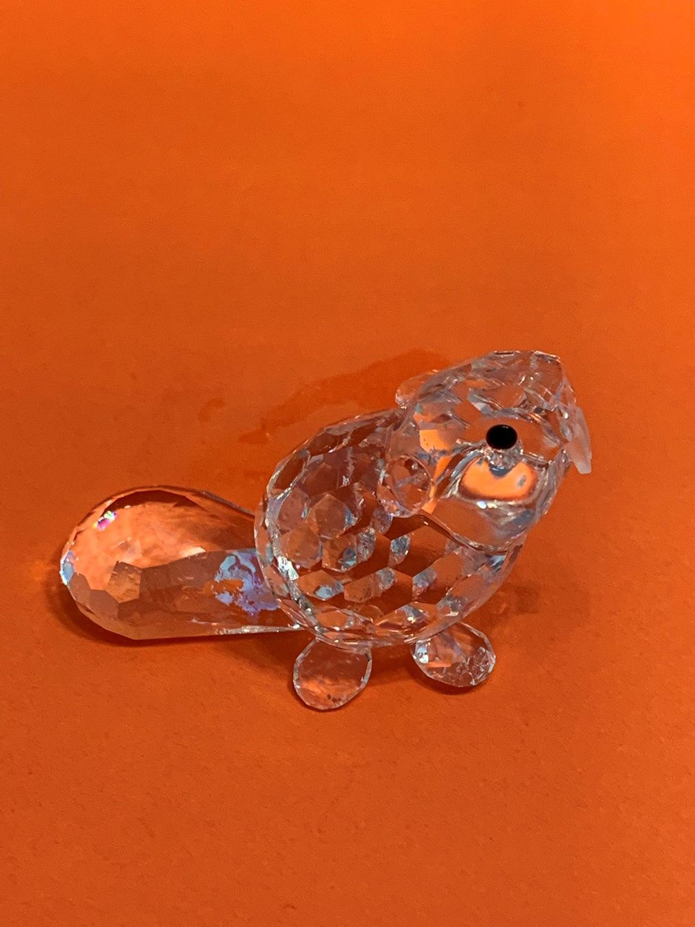 Swarovski Statuette: Swarovski Biber mit OVP – Nuovo e nell'imballaggio originale da Oberglatt ZH venduto da Multimix 2