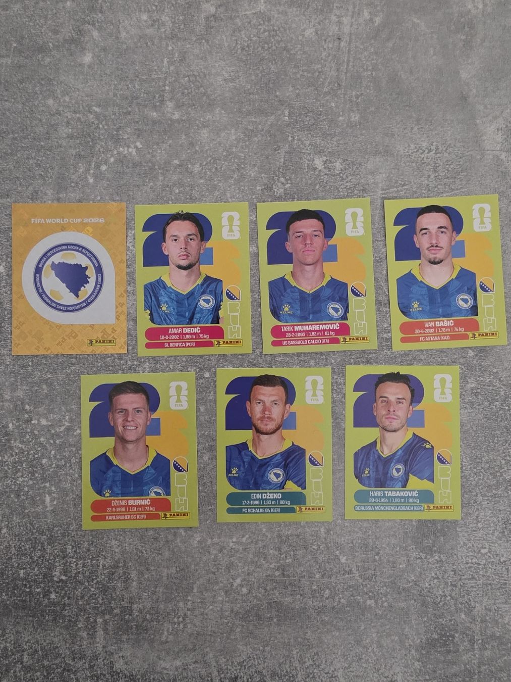 Panini Carte collezionabili: Panini Sticker WM 2026- Team BIH – Usato da St. Gallen venduto da Shelly__x3