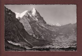 GRINDELWALD - Kleine Scheidegg - 1954